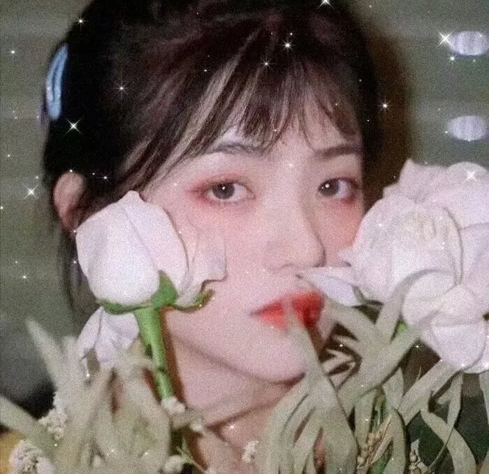 动画青春