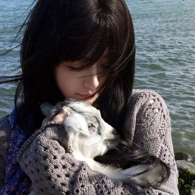米花岛漂流记